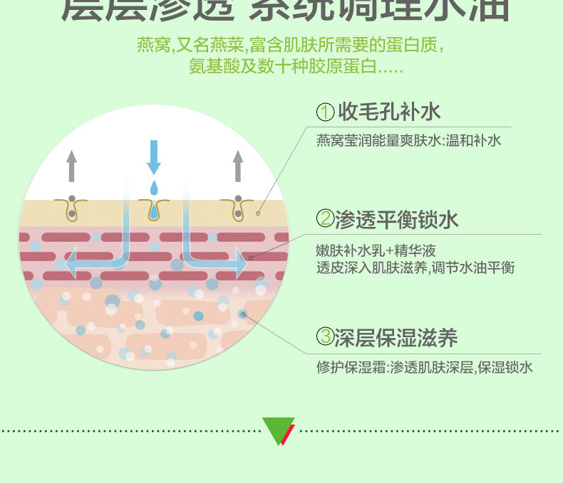 美延雅燕窩奢養(yǎng)補(bǔ)水套裝 美延雅燕窩奢養(yǎng)補(bǔ)水套裝8